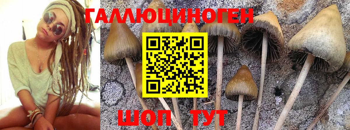 Брянск  Галлюциногенные грибы Psilocybe  Вход с VPN  как найти закладки  Псилоцибиновые грибы Magic Shrooms 