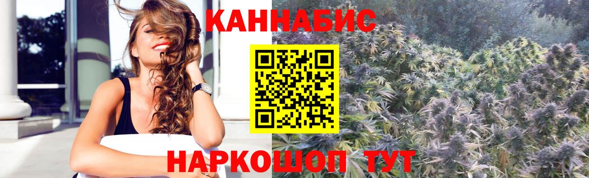 Шишки марихуана планчик Брянск